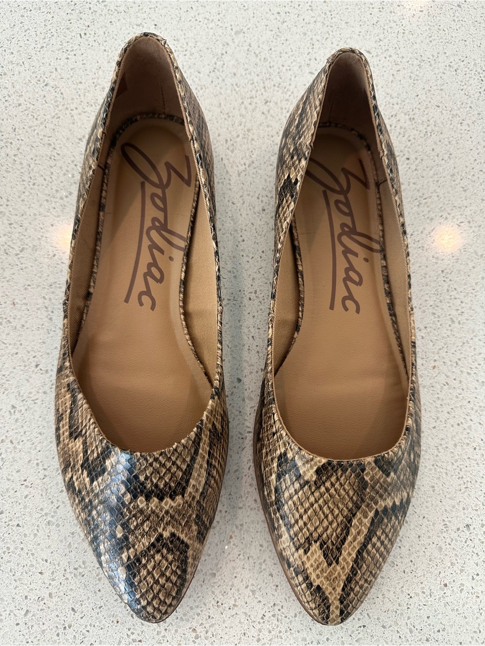 Zodiac pointed toe flat women’s shoe. Size 8. Neutral tones and black. NWT.